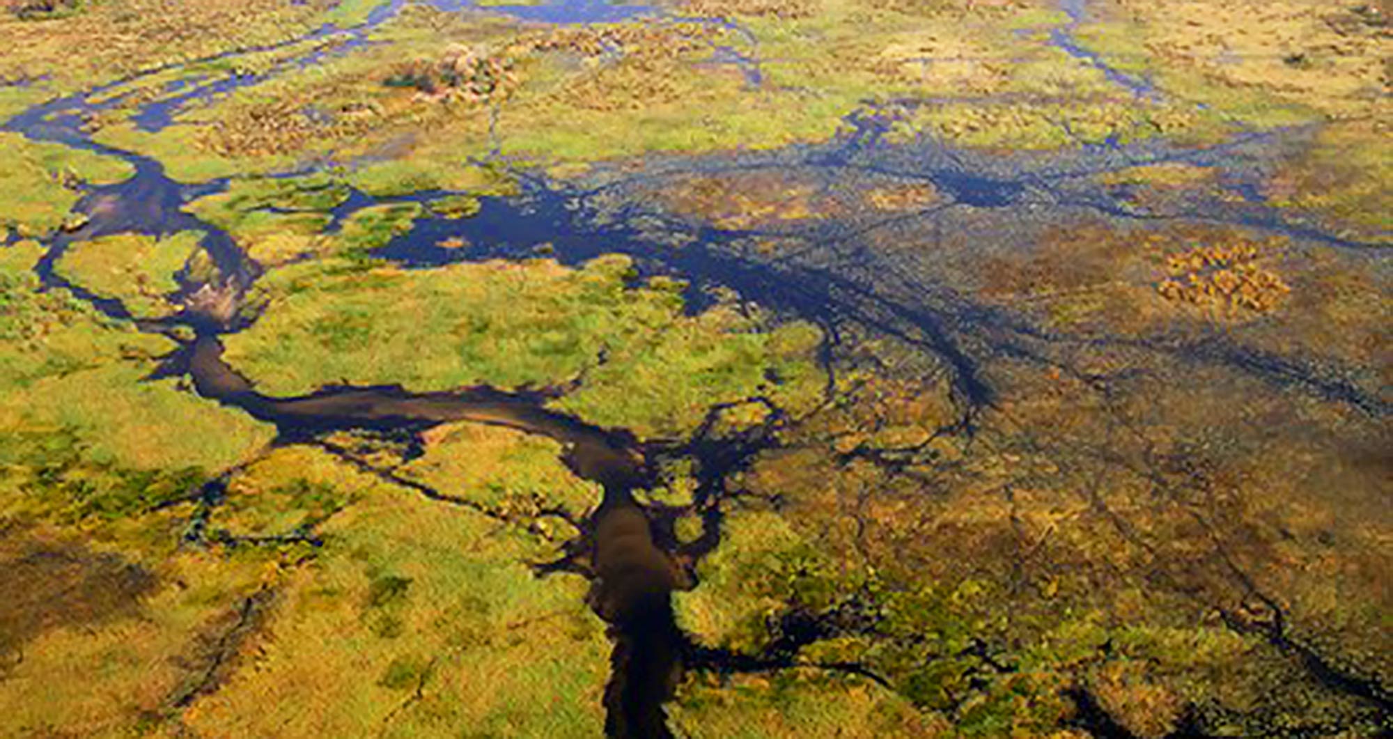 Apart from fossil fuels and agricultural production, methane emissions also come from natural sources such as microbes in saturated wetland soils, and scientists say new studies show it is much more damaging than carbon dioxide emissions