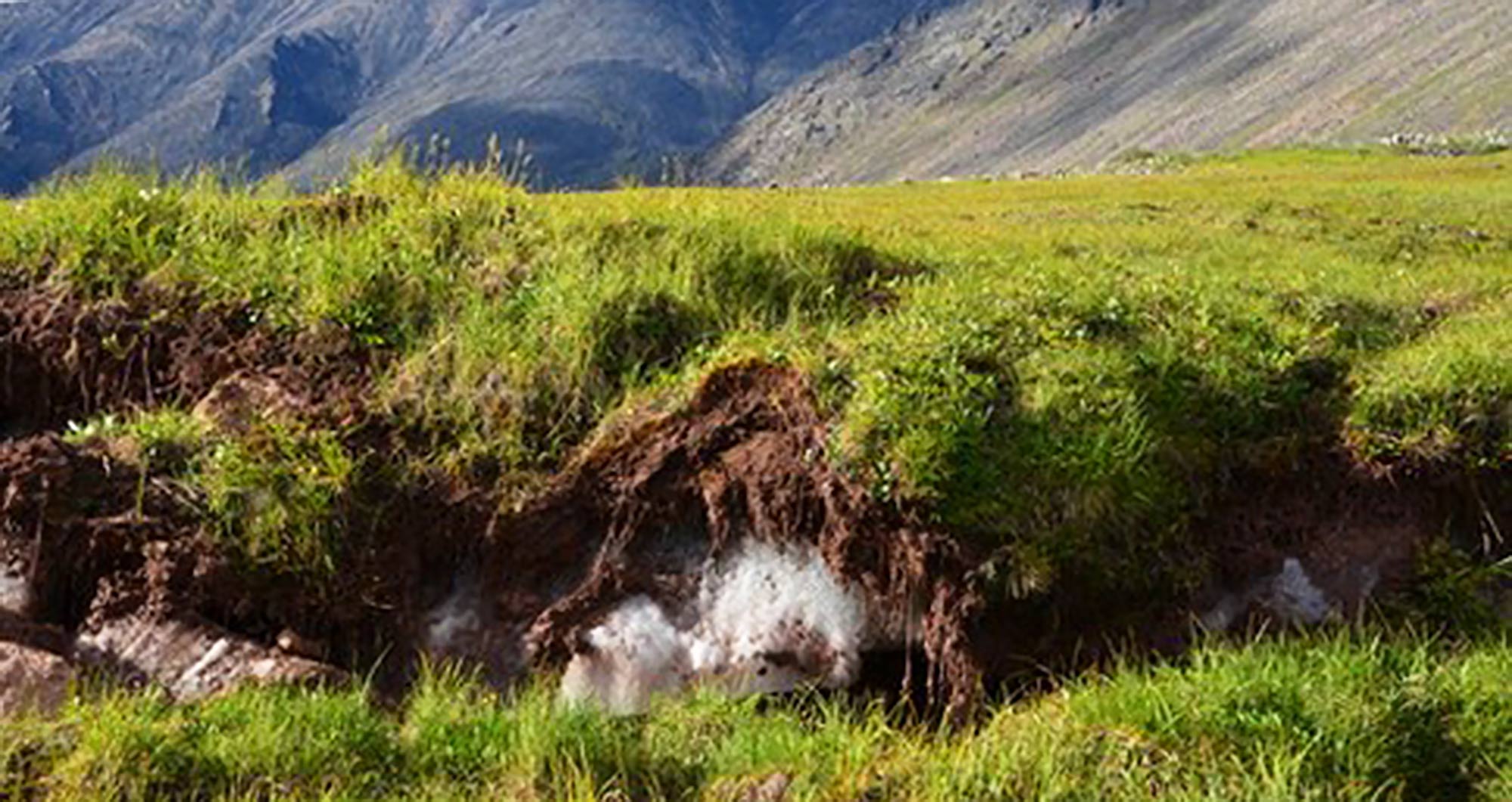 Carbon locked in the frozen earth will escape gradually as the Arctic permafrost melts. In a new study, scientists say the process could accelerate