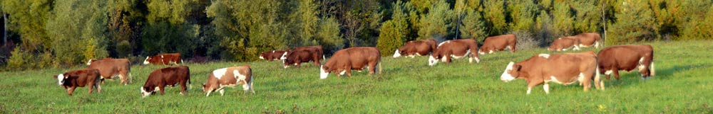 Farming and the Environment